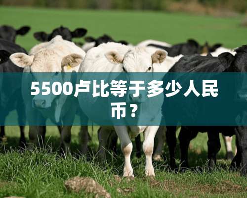 5500卢比等于多少人民币？