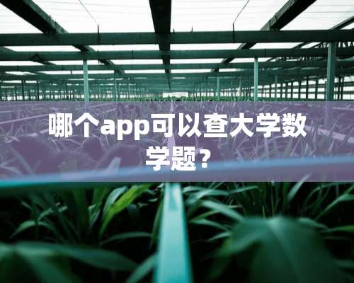 哪个app可以查大学数学题？