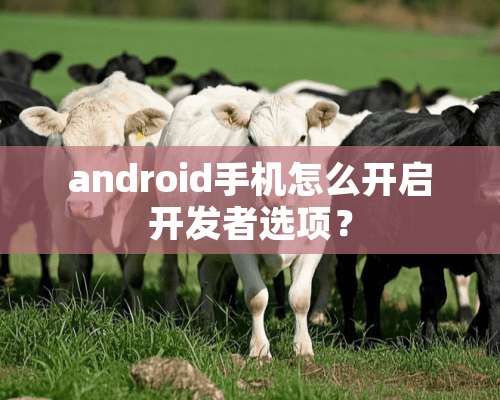 android手机怎么开启开发者选项？