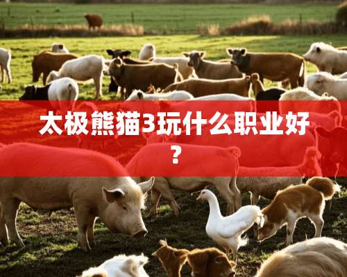 太极熊猫3玩什么职业好？