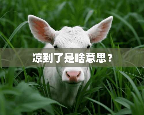 凉到了是啥意思？