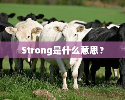 Strong是什么意思？