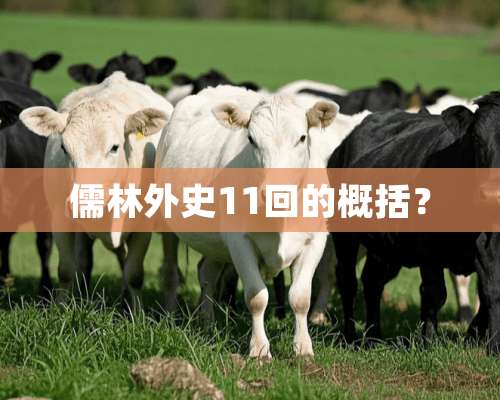 儒林外史11回的概括？