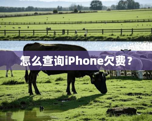 怎么查询iPhone欠费？