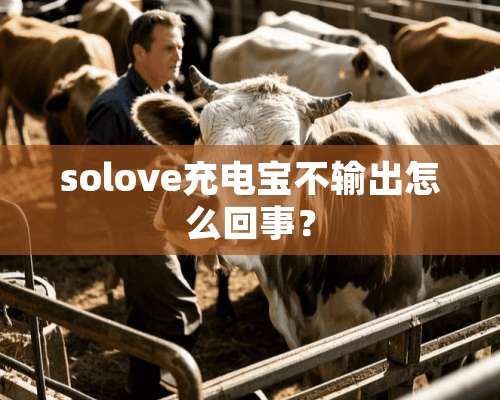 solove充电宝不输出怎么回事？