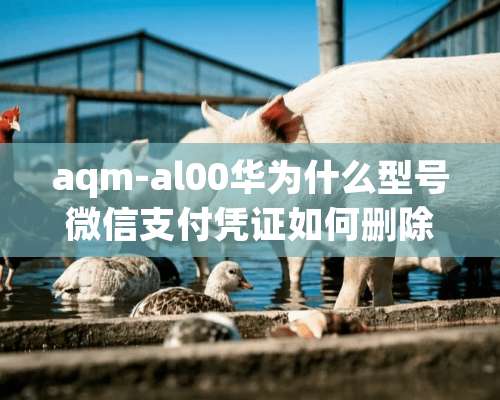 aqm-al00华为什么型号微信支付凭证如何删除？