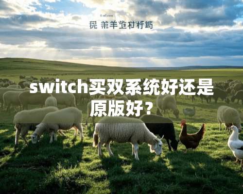 switch买双系统好还是原版好？