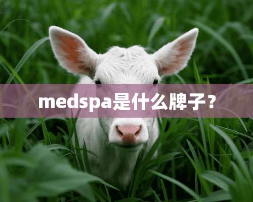 medspa是什么牌子？