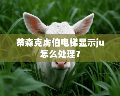 蒂森克虏伯电梯显示ju怎么处理？