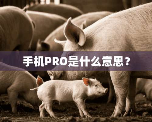 手机PRO是什么意思？