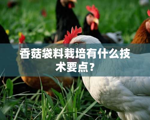 香菇袋料栽培有什么技术要点？