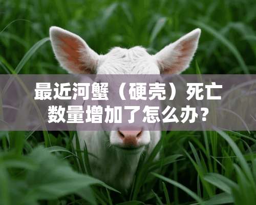 最近河蟹（硬壳）死亡数量增加了怎么办？