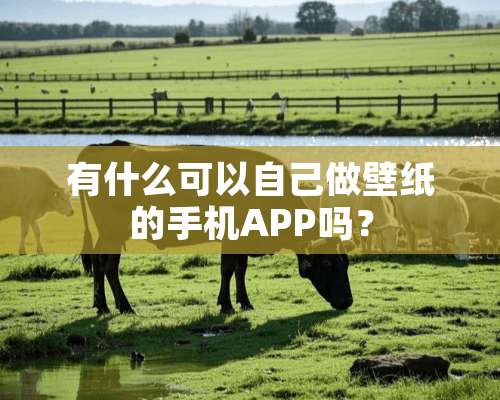 有什么可以自己做壁纸的手机APP吗？