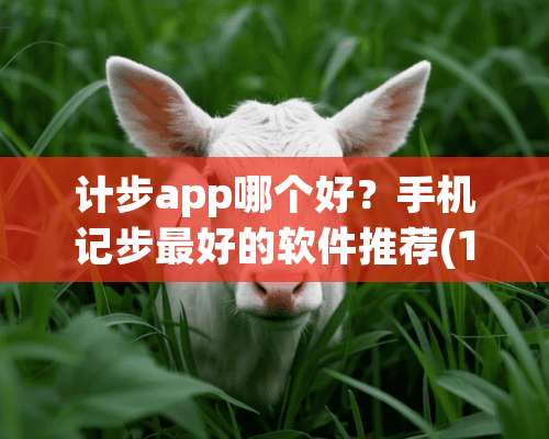 计步app哪个好？手机记步最好的软件推荐(10款）？