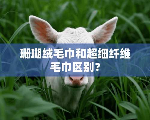 珊瑚绒毛巾和超细纤维毛巾区别？