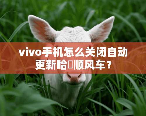 vivo手机怎么关闭自动更新哈啰顺风车？