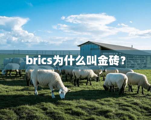 brics为什么叫金砖？