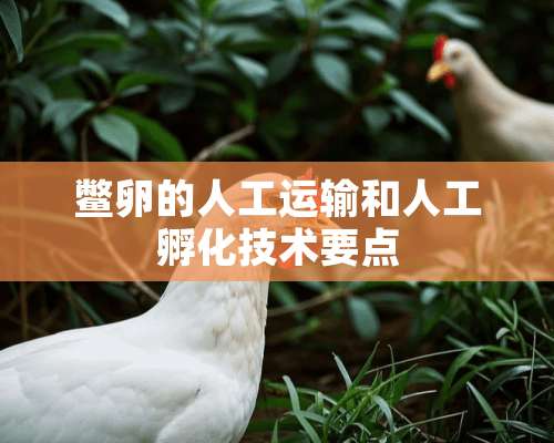 鳖卵的人工运输和人工孵化技术要点