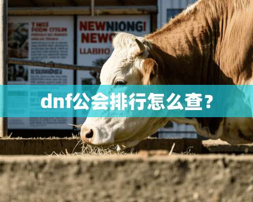 dnf公会排行怎么查？