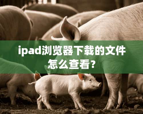 ipad浏览器下载的文件怎么查看？