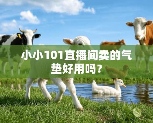 小小101直播间卖的气垫好用吗？