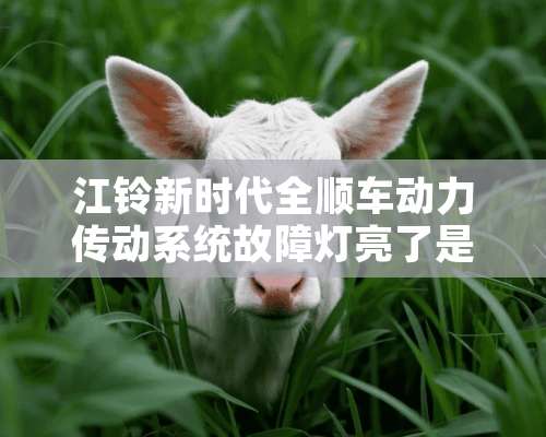 江铃新时代全顺车动力传动系统故障灯亮了是怎么会事？