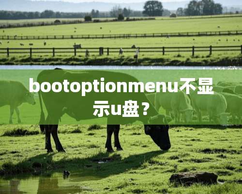 bootoptionmenu不显示u盘？