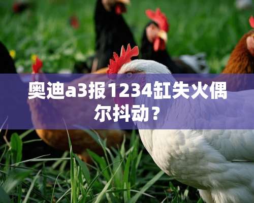 奥迪a3报1234缸失火偶尔抖动？