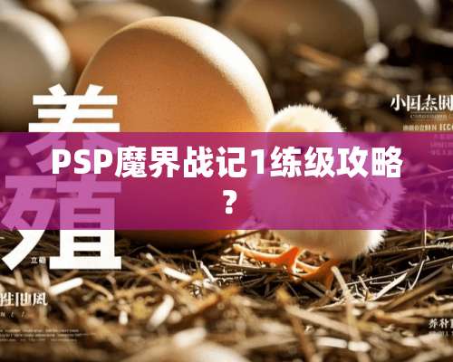 PSP魔界战记1练级攻略？