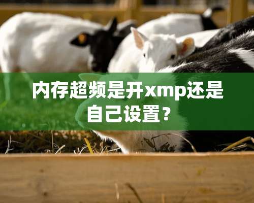 内存超频是开xmp还是自己设置？