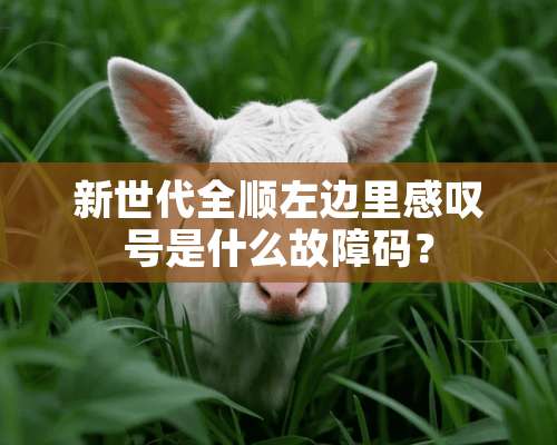 新世代全顺左边里感叹号是什么故障码？