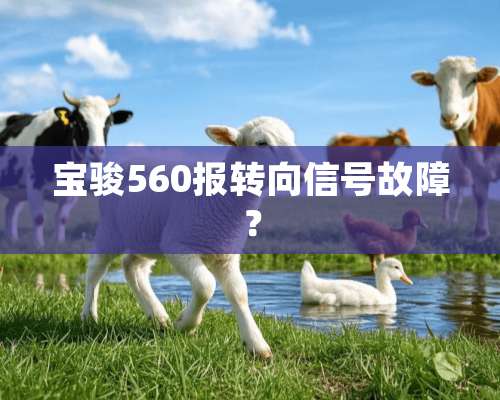 宝骏560报转向信号故障？