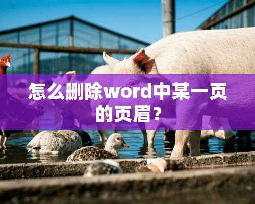 怎么删除word中某一页的页眉？