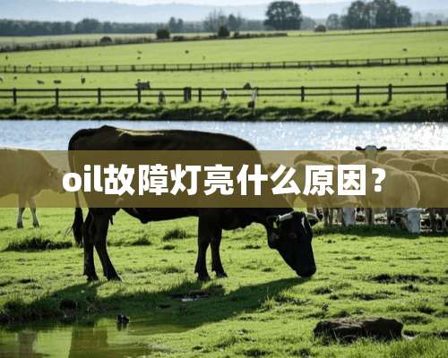 oil故障灯亮什么原因？