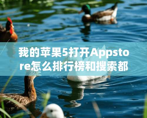 我的苹果5打开Appstore怎么排行榜和搜索都是空白，只有更新有？