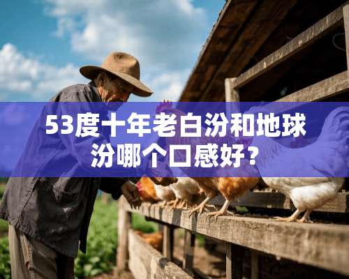 53度十年老白汾和地球汾哪个口感好？