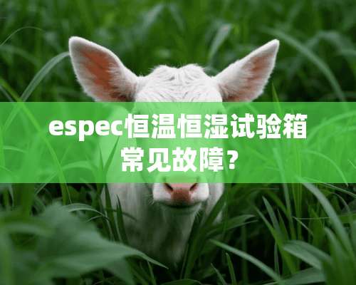 espec恒温恒湿试验箱常见故障？