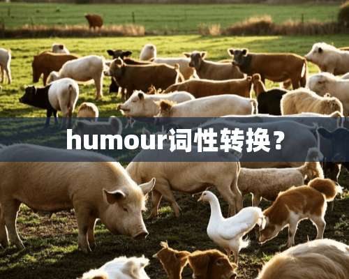 humour词性转换？