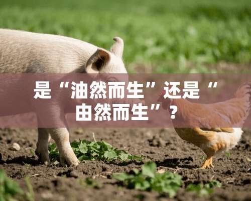 是“油然而生”还是“由然而生”？