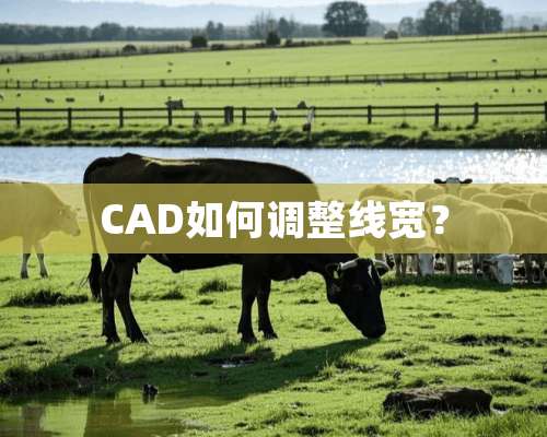 CAD如何调整线宽？