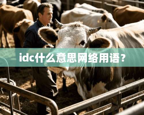 idc什么意思网络用语？