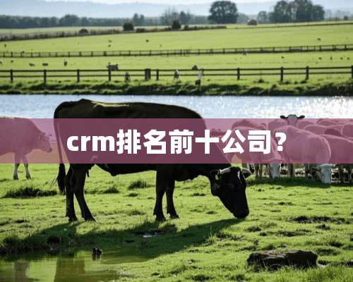 crm排名前十公司？