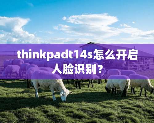 thinkpadt14s怎么开启人脸识别？