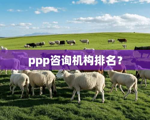 ppp咨询机构排名？