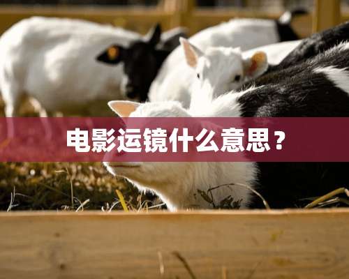 电影运镜什么意思？