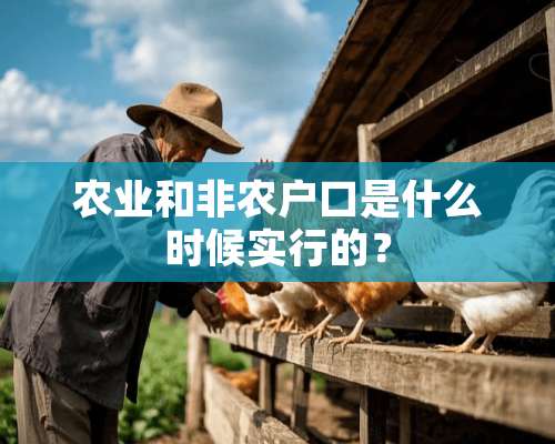 农业和非农户口是什么时候实行的？