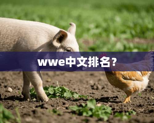 wwe中文排名？