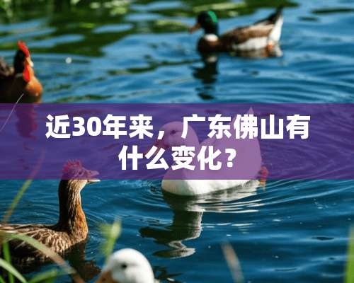 近30年来，广东佛山有什么变化？