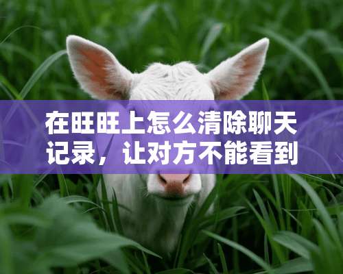 在旺旺上怎么清除聊天记录，让对方不能看到？