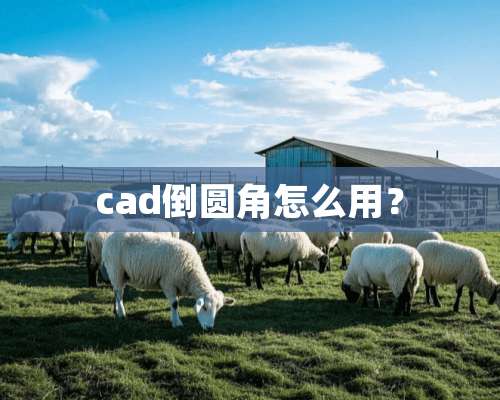 cad倒圆角怎么用？